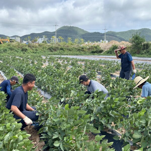 행복영농사업단